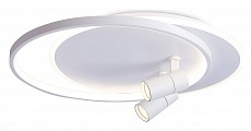 Накладной светильник Ambrella Light FL FL51391