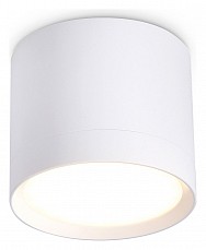 Накладной светильник Ambrella Light TN TN5350