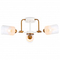 Потолочная люстра Ambrella Light TR TR303321