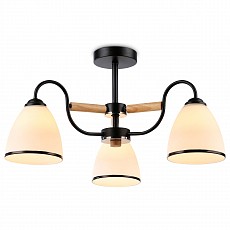 Люстра на штанге Ambrella Light TR TR3033241