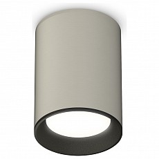 Накладной светильник Ambrella Techno Spot 239 XS6314002