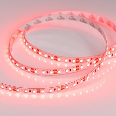 Лента светодиодная Arlight RT 012329_2