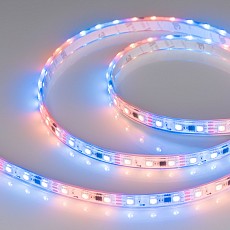 Лента светодиодная Arlight SPI 026365_3