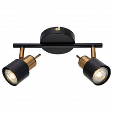 Спот Arte Lamp Almach A1906PL-2BK