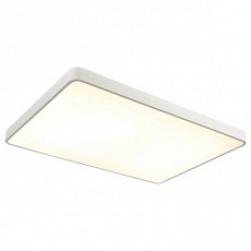 Накладной светильник Arte Lamp A2662PL A2662PL-1WH