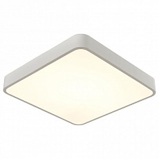 Накладной светильник Arte Lamp A2663PL A2663PL-1WH