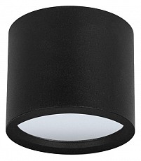 Накладной светильник Arte Lamp Intercrus A5543PL-1BK