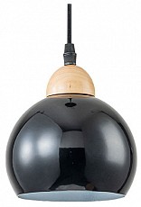 Подвесной светильник Escada Solo 10178_1S_Black
