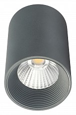 Накладной светильник Escada 20003 20003SMU_01LED_SGY