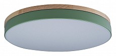 Накладной светильник Loft it Axel 10001/36 Green