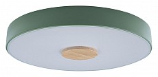 Накладной светильник Loft it Axel 2 10003/24 Green