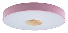 Накладной светильник Loft it Axel 2 10003/24 Pink