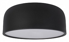 Накладной светильник Loft it Axel 10201_350_Black