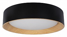 Накладной светильник Loft it Coin 10202_Black