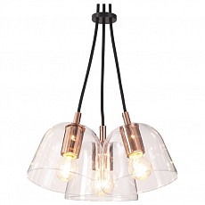 Подвесной светильник Lumion Joseph 4455/3