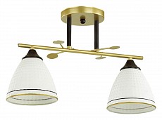 Накладной светильник Lumion Becky 4544/2C