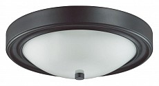 Накладной светильник Lumion Nina 5260/2C