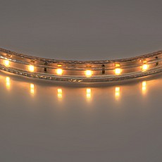 Лента светодиодная Lightstar 0 402002