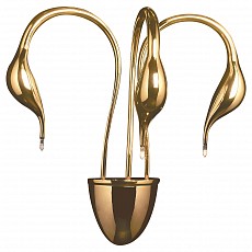 Бра Lightstar Cigno Collo 751632