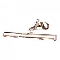 Подсветка для картины Maytoni Raphael PIC113-02-G