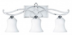 Светильник на штанге Hinkley Brooke HK-BROOKE3-BATH