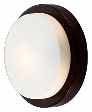 Накладной светильник Odeon Light Holger 2744/1C