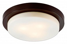 Накладной светильник Odeon Light Holger 2744/3C