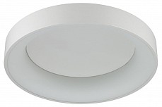 Накладной светильник Odeon Light Sole 4062/50CL