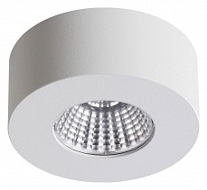 Накладной светильник Odeon Light Bene 4282_7CL