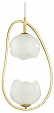 Подвесной светильник Odeon Light Waterlily 4873/2