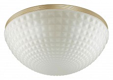 Накладной светильник Odeon Light Malaga 4936/4C