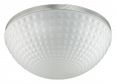 Накладной светильник Odeon Light Pirsa 4937/4C