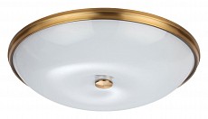 Накладной светильник Odeon Light Pelow 4956/6